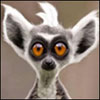 AlanWeb84's Avatar
