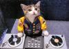 Musician's Avatar